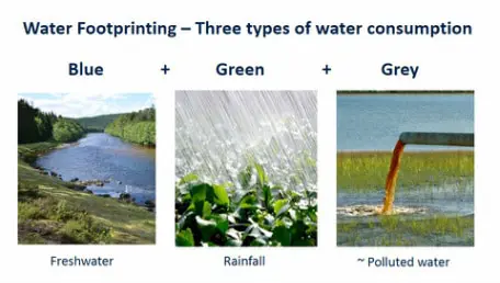 What is a Water Footprint? An Assessment of Water Use Patterns