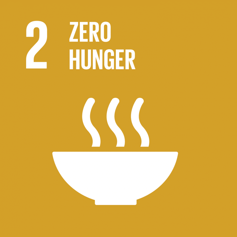 UN SDG 2 Zero Hunger