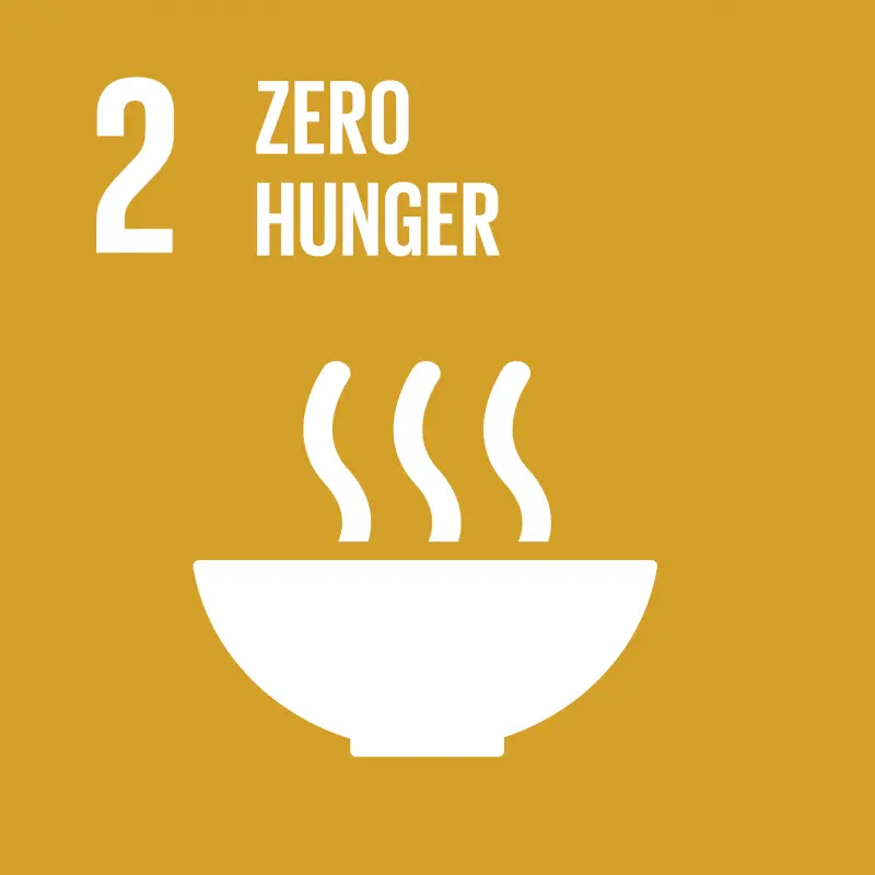 UN SDG 2 Zero Hunger