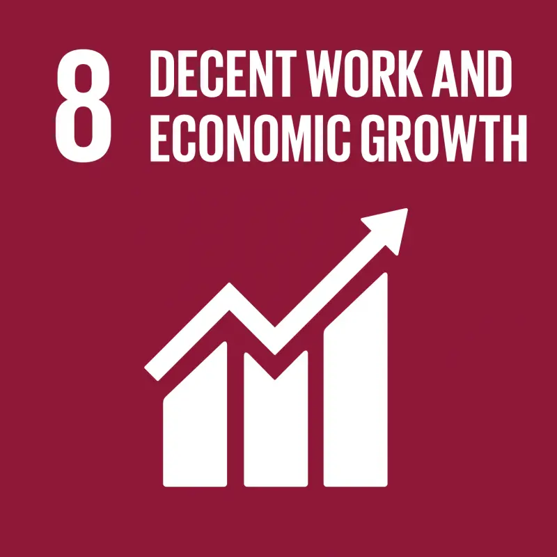 UN SDG 8 work and economic growth