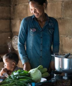 Gold Standard Biodigesters and Clean Cookstoves Project Cambodia