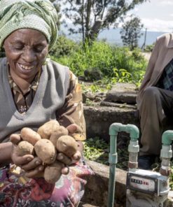Gold Standard Biogas and Clean Cookstoves Project Kenya