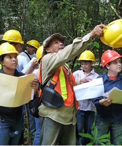 Alternative view of Gold Standard Forestry Project Panama