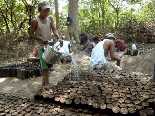 CommuniTree Forestry Project Nicaragua