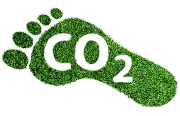 a graphic of a footprint made up of trees with the chemical symbol for carbon dioxide CO2 in it. This symbolises a carbon footprint.