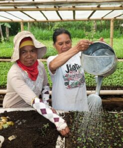 Alternative view of Gold Standard Biogas Digesters Project Indonesia