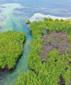 Haiti aerial shot