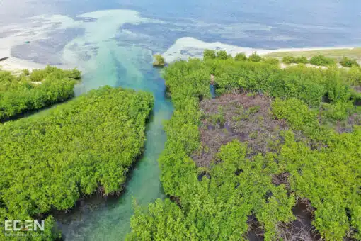 Haiti aerial shot